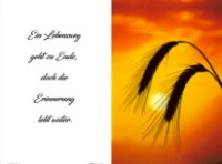 eine Anzeige